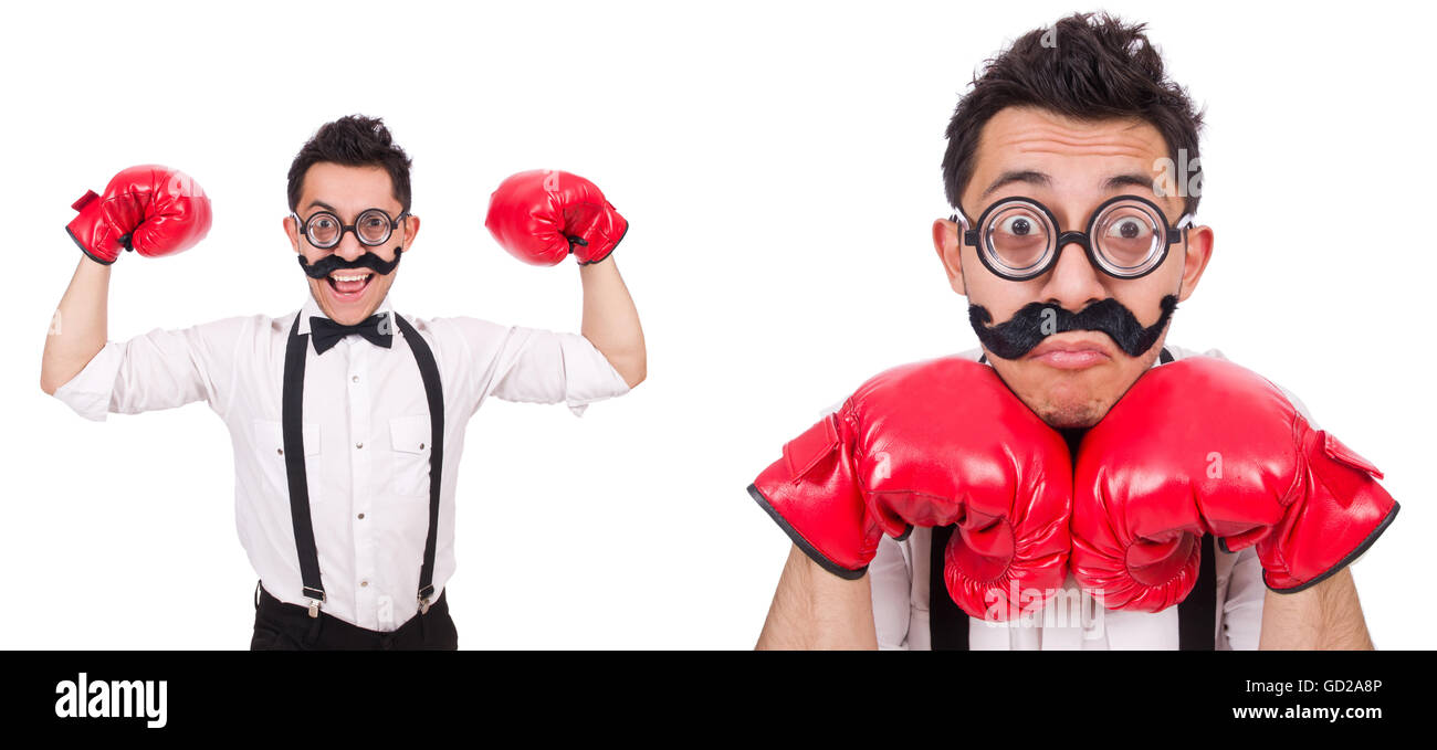 Funny boxer isolated on the white background Stock Photo - Alamy