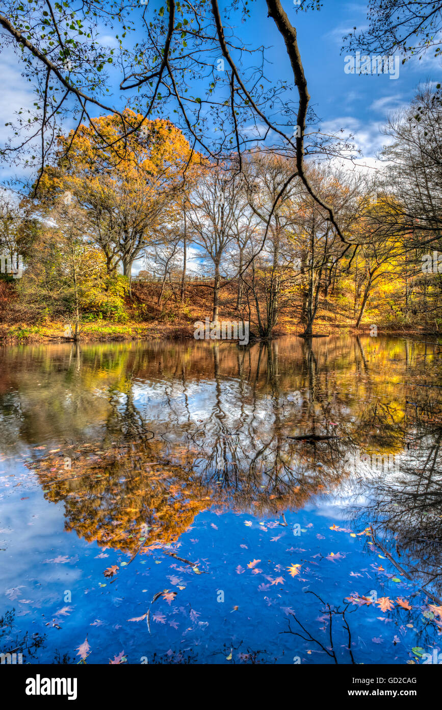 Autumn coloured foliage around Richmond Lake, Cloves Lake Park; Staten