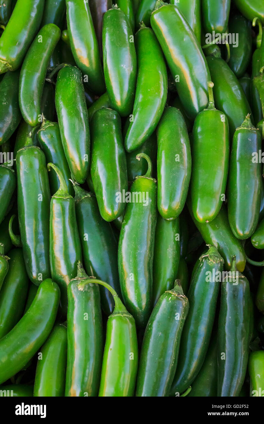 Jalapeno peppers; Woodland, California, United States of America Stock