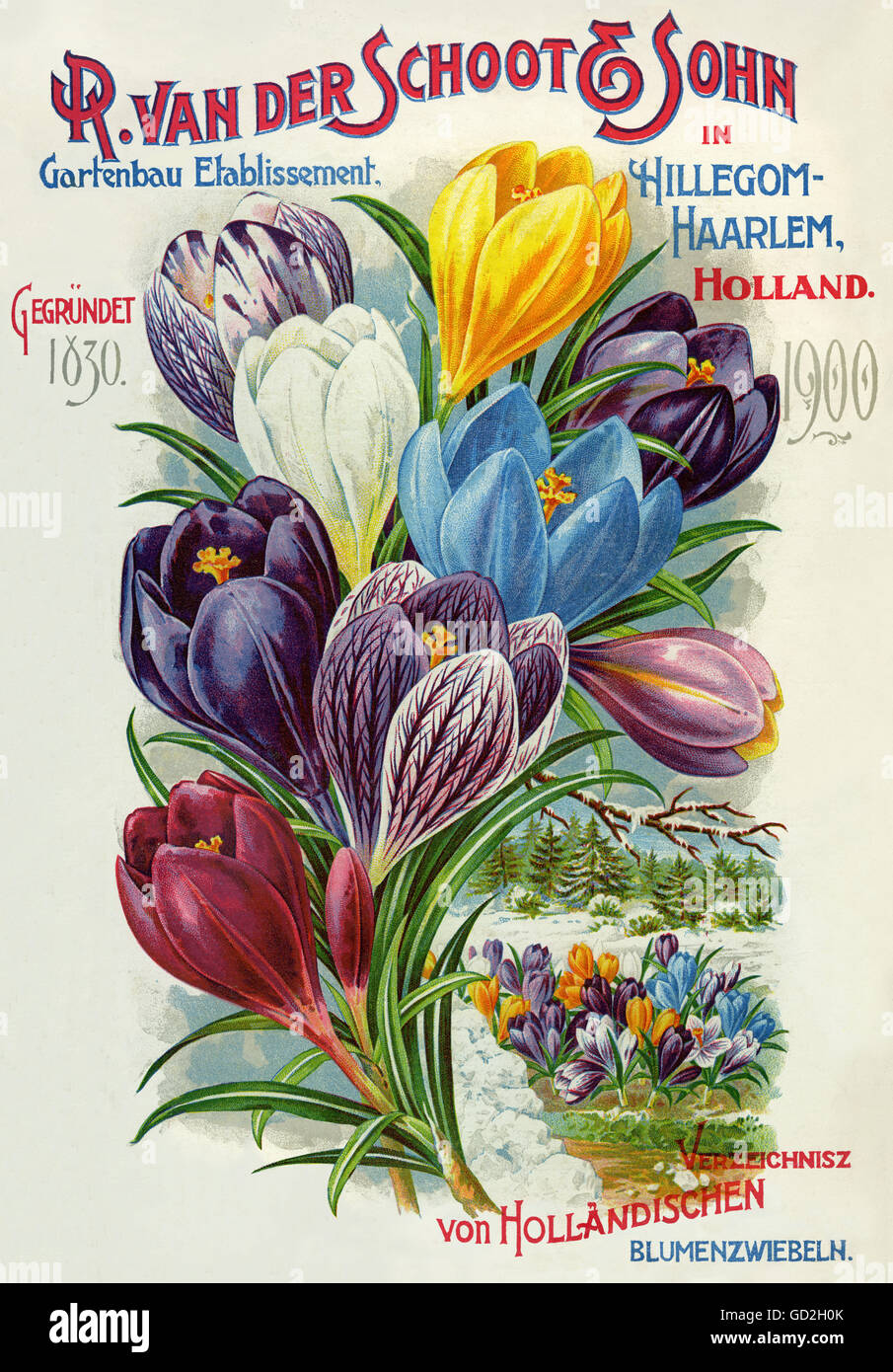Dutch bulb catalogue hires stock photography and images Alamy