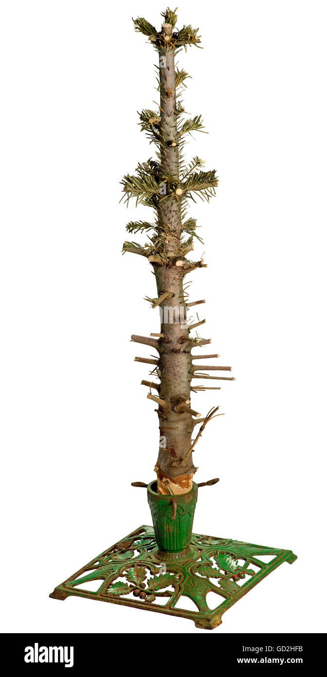 Trimmed Branches High Resolution Stock Photography and Images Alamy