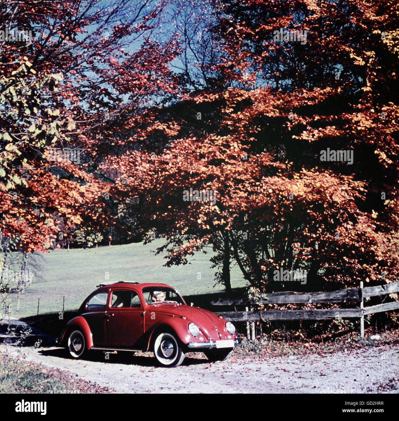 transport / transportation, cars, Volkswagen, VW Beetle 1300, Germany, 1960s, Additional-Rights-Clearences-Not Available Stock Photo