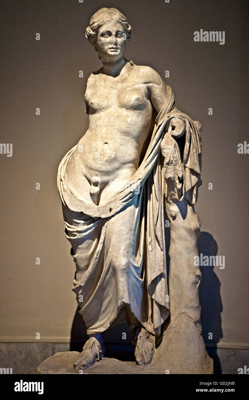 Hermaphrodites hires stock photography and images Alamy