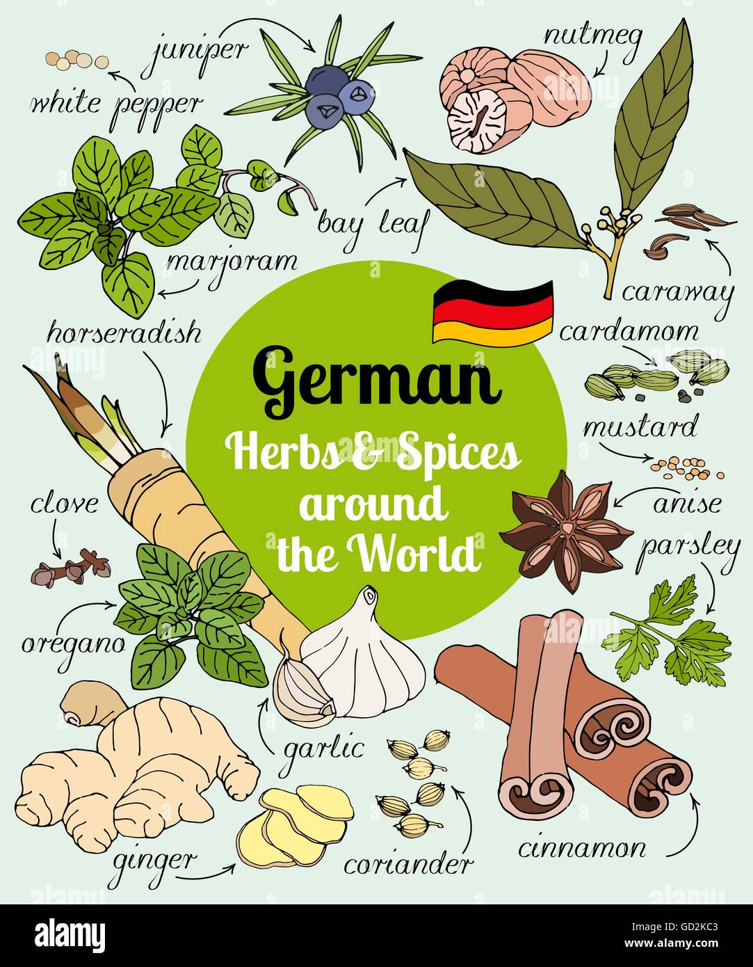 German herbs and spices Stock Vector Image & Art - Alamy