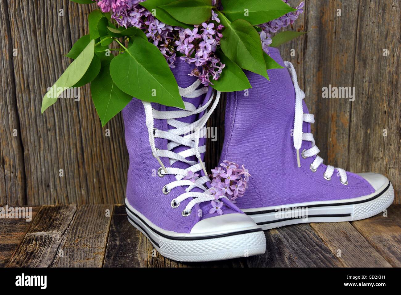 Lilac bouquet in a pair of purple high top sneakers on rustic barn wood. Stock Photo