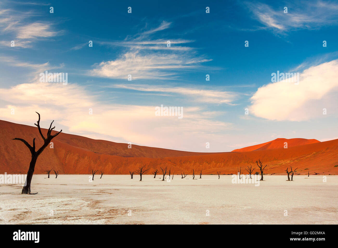 Dead trees and red dunes in the Dead Vlei, Sossusvlei, Namibia Stock Photo
