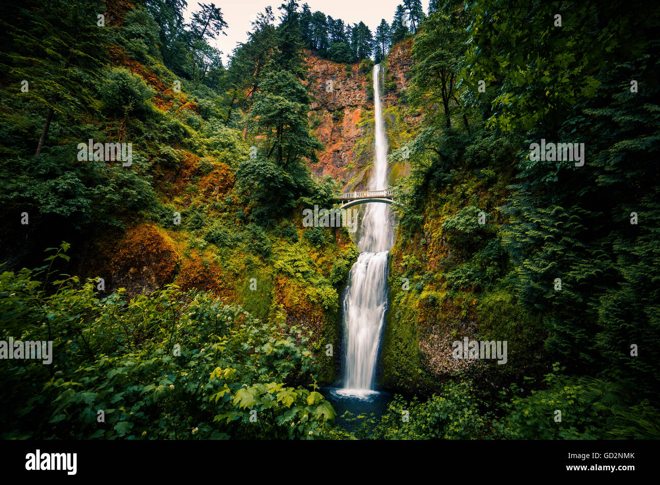 Multnomah Falls in Summer.  Columbia River Gorge, Oregon, USA Stock Photo