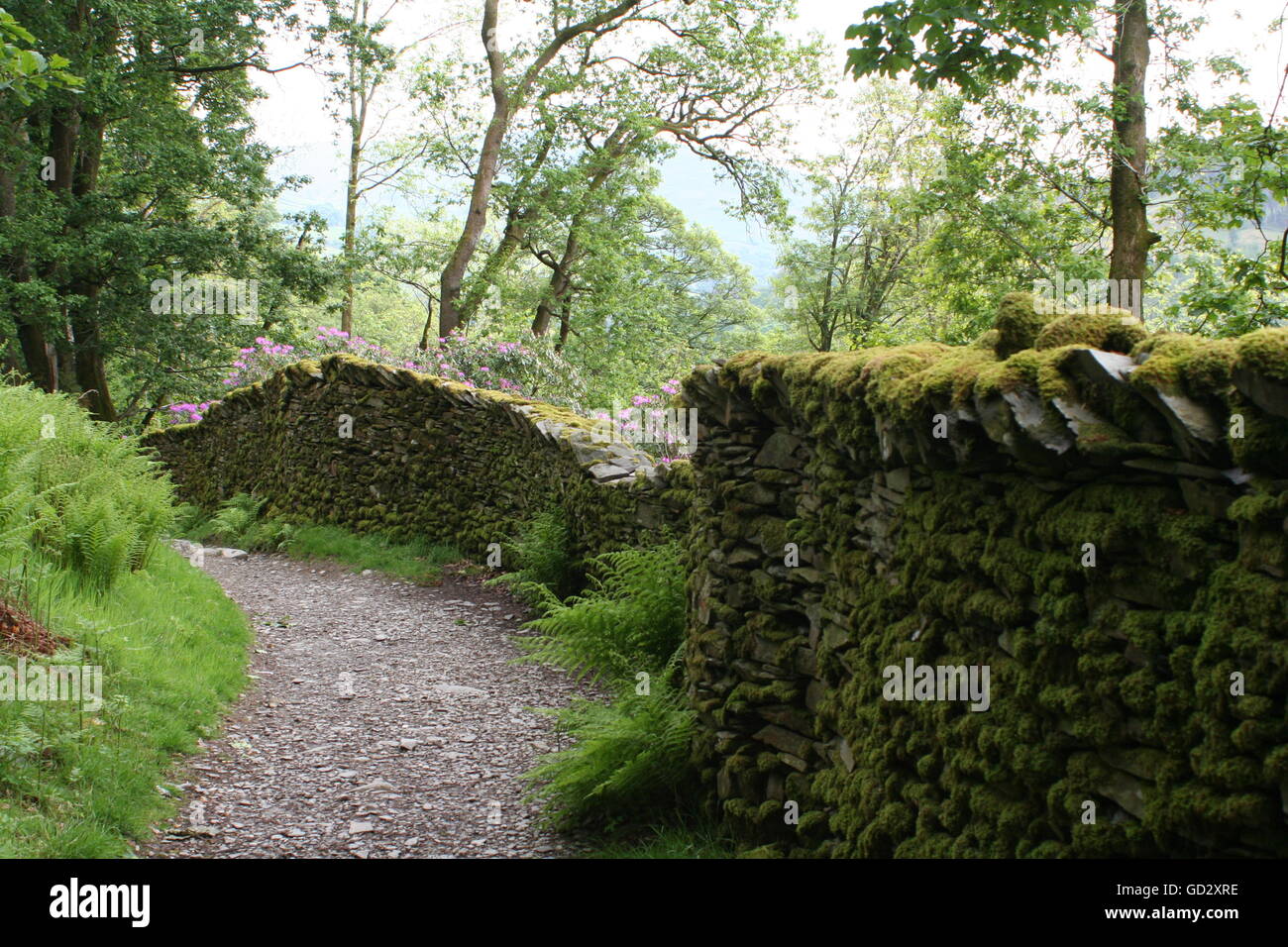 The footpath from Rydal to Grasmere Stock Photo