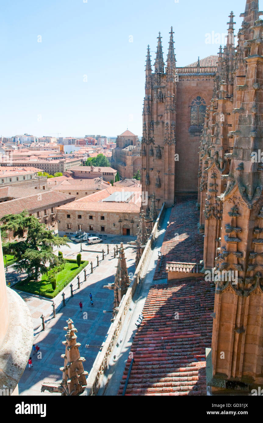 View from the terrace of the cathedral. Salamanca, Castilla Leon, Spain. Stock Photo