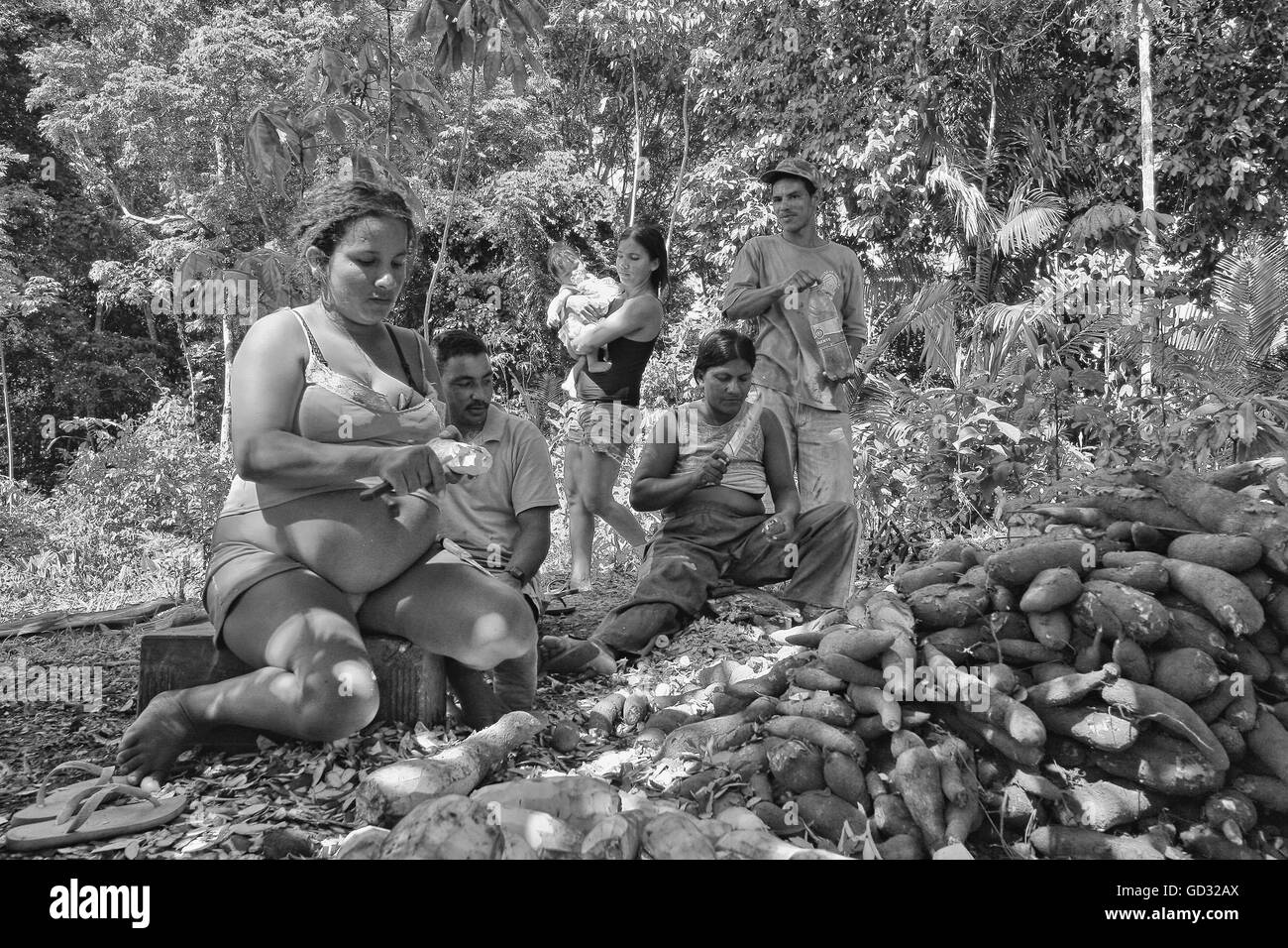Black and white picture of indigenous people peeling cassava roots to proccess, remove cyanide and prepare for cooking. Stock Photo
