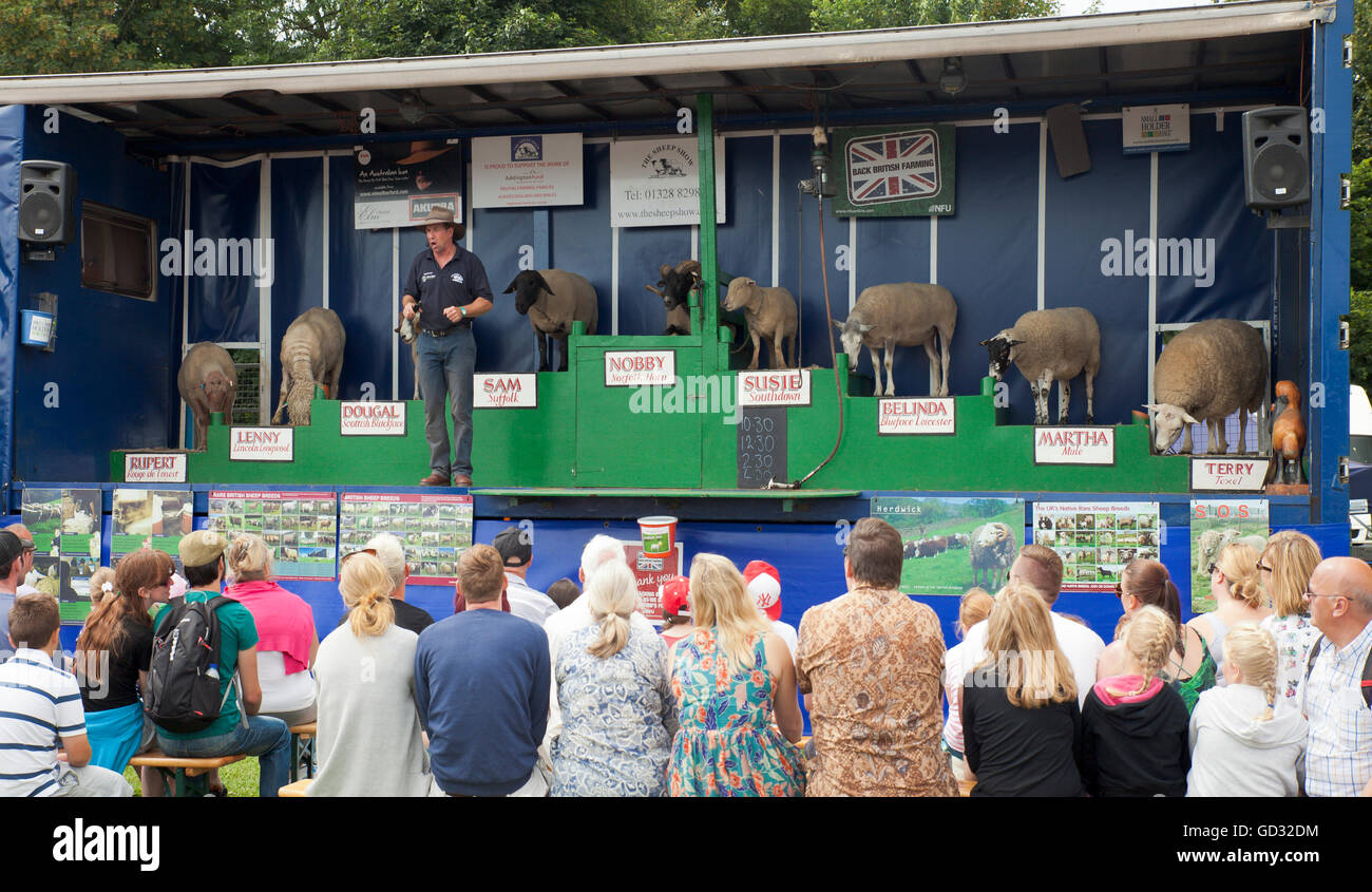 The Sheep Show performed by Richard Savory Stock Photo Alamy