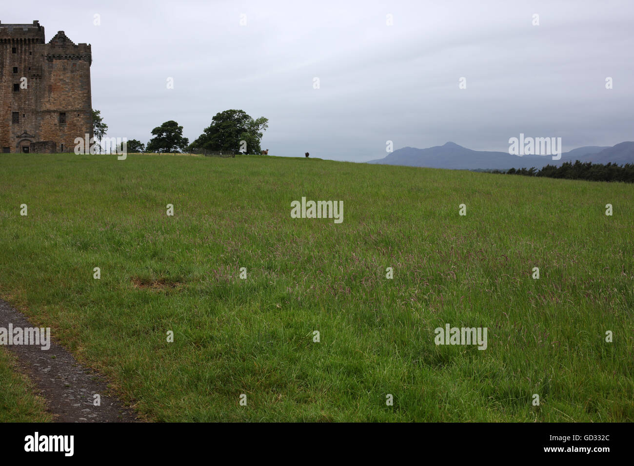 Clackmannan tower - King's seat hill - Stirlingshire - Scotland - UK Stock Photo