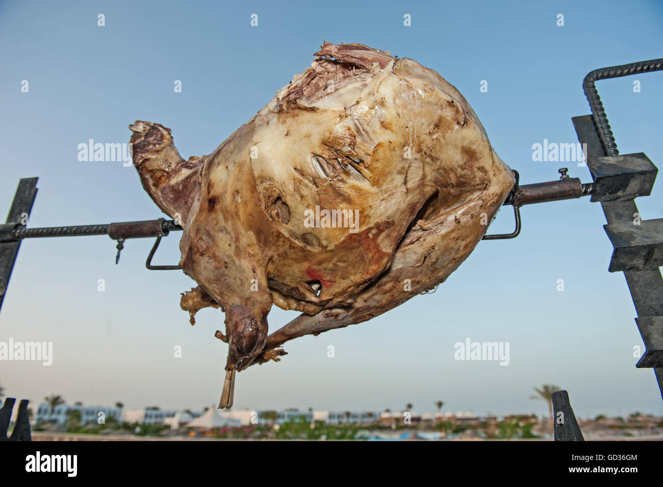 Whole piece of lamb meat on spit roast skewer cooking over barbecue with blue sky background Stock Photo