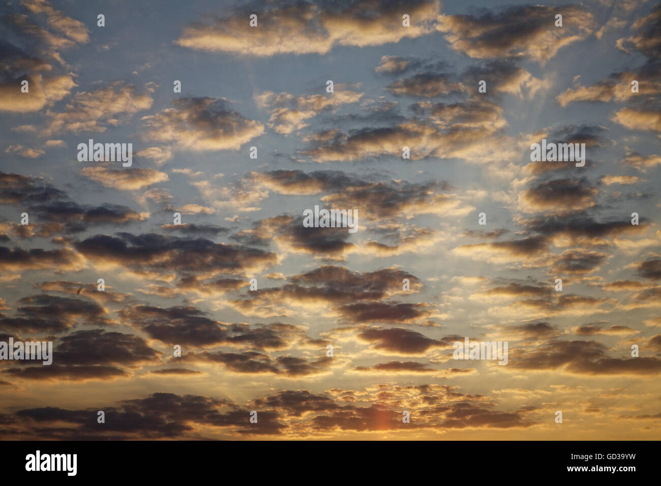 Sunrise.Color clouds.Ukraine Stock Photo