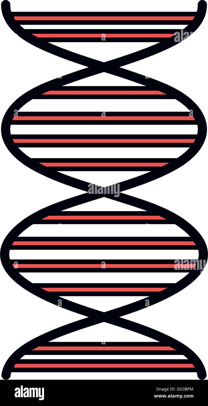 Human DNA isolated flat icon Stock Vector Image & Art - Alamy