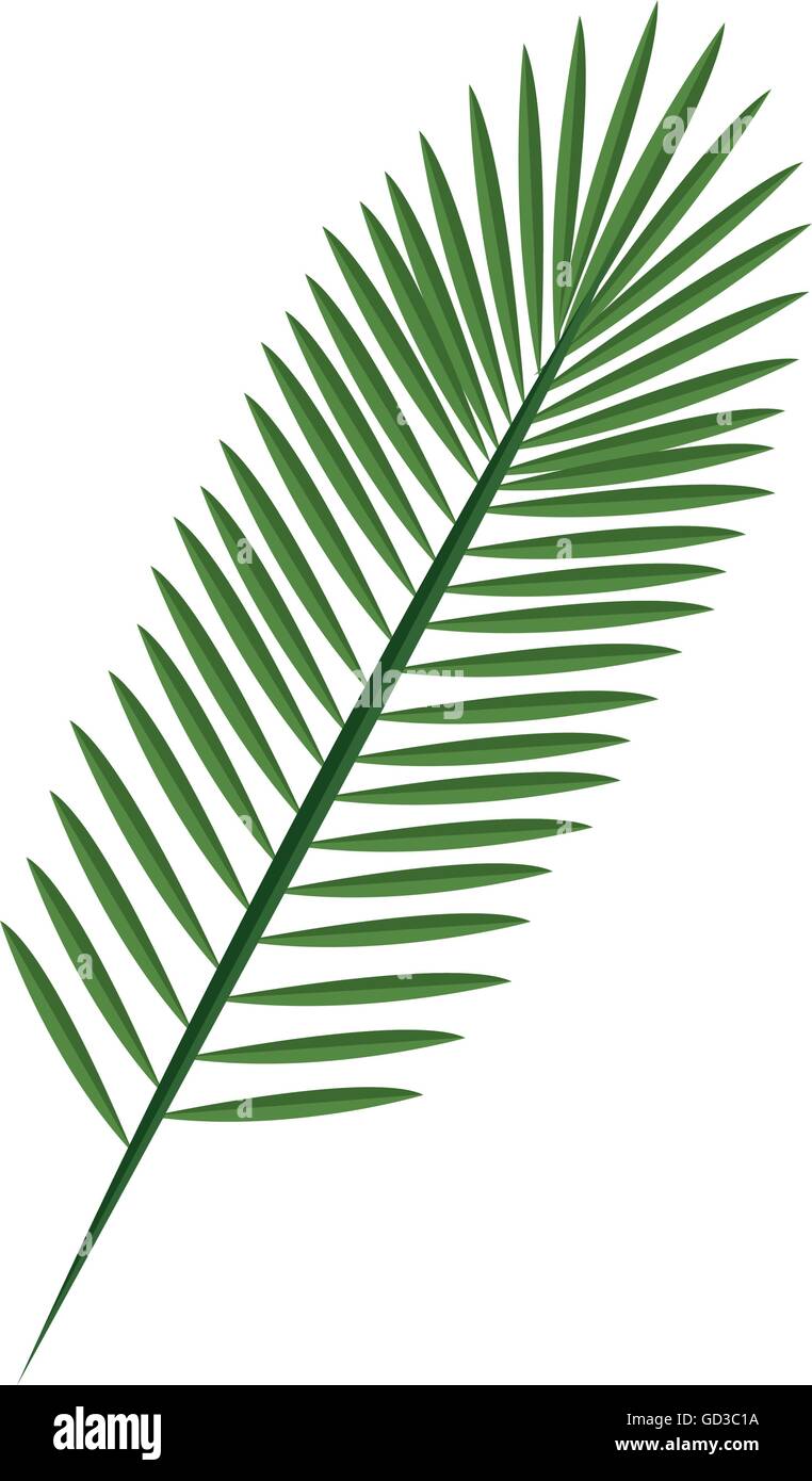 Nature plant and ecology graphic design Stock Vector Image & Art - Alamy
