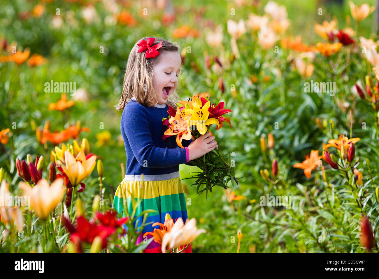 Cute little girl picking lily flowers in blooming summer garden. Child