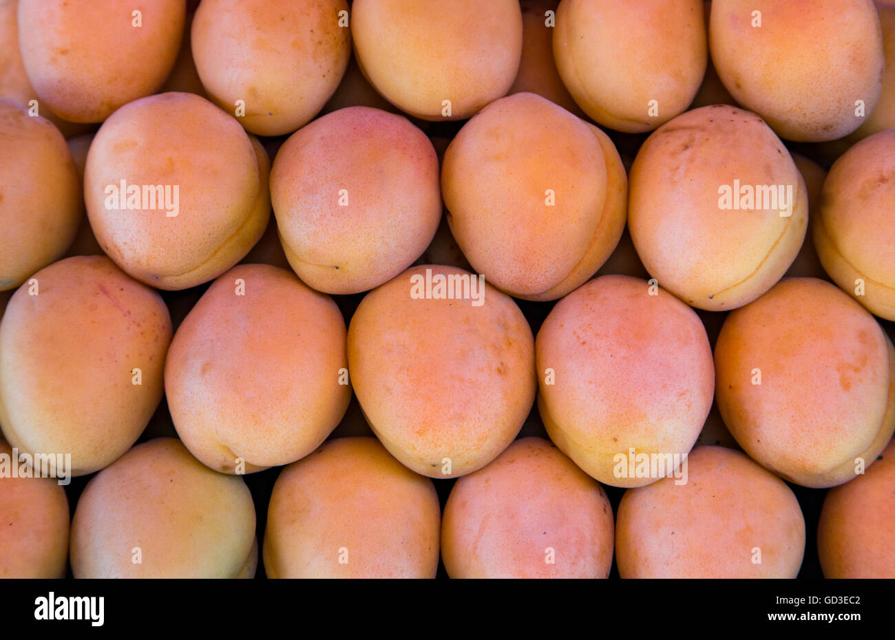 apricots in a street market of Tbilisi Stock Photo Alamy
