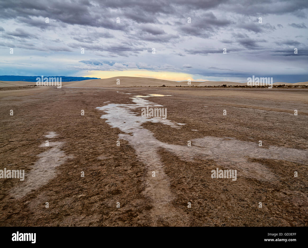 After a storm in the desert Stock Photo - Alamy