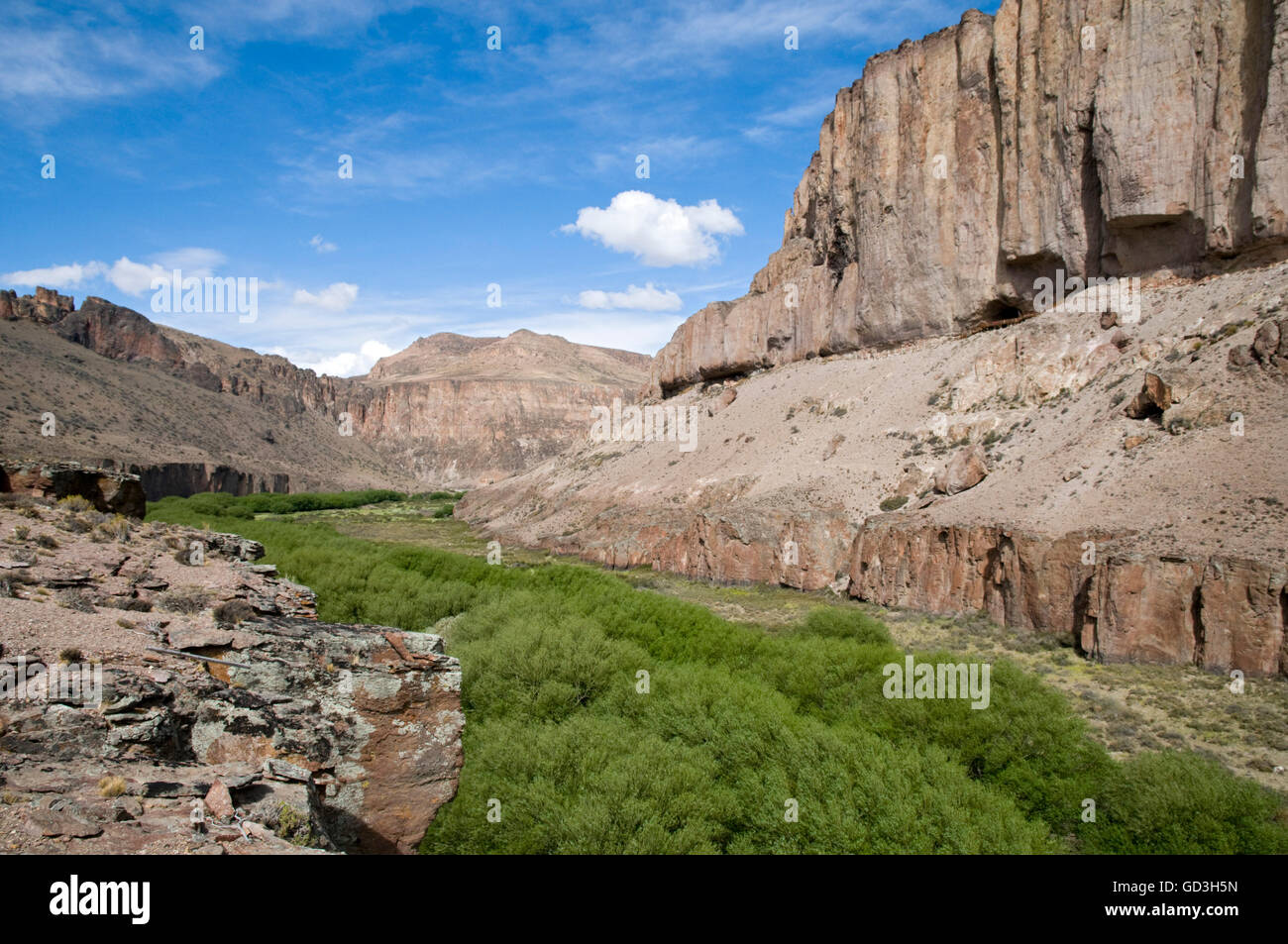 Cueva de las Manos, Cave of the Hands, UNESCO Cultural Heritage Site ...