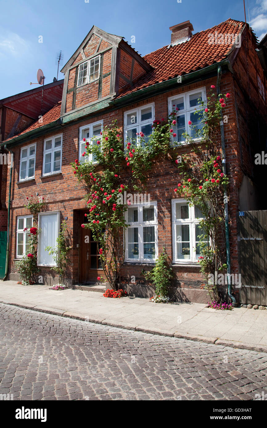 Historic old town, Eutin, Naturpark Holsteinische Schweiz, nature park