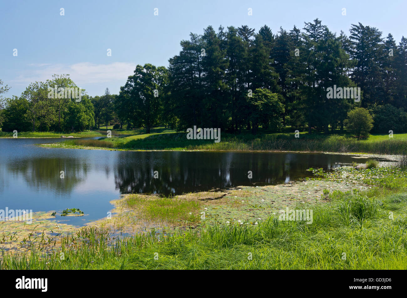 landscape of marshes lake and woodlands at arboretum in lisle illinois Stock Photo