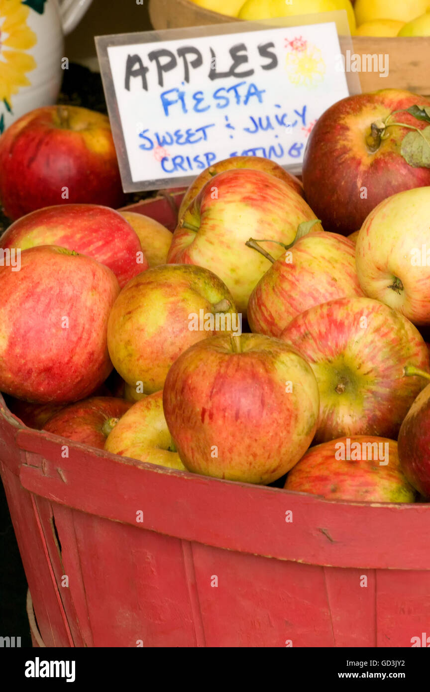 Bushel apples hires stock photography and images Alamy