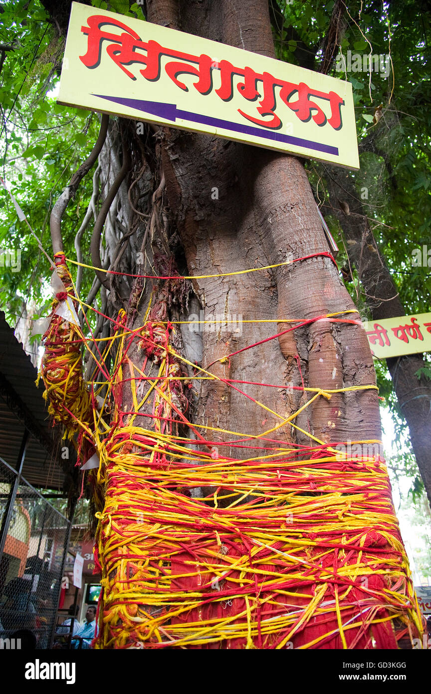 Sita gufa tree, Nasik, maharashtra, india, asia Stock Photo