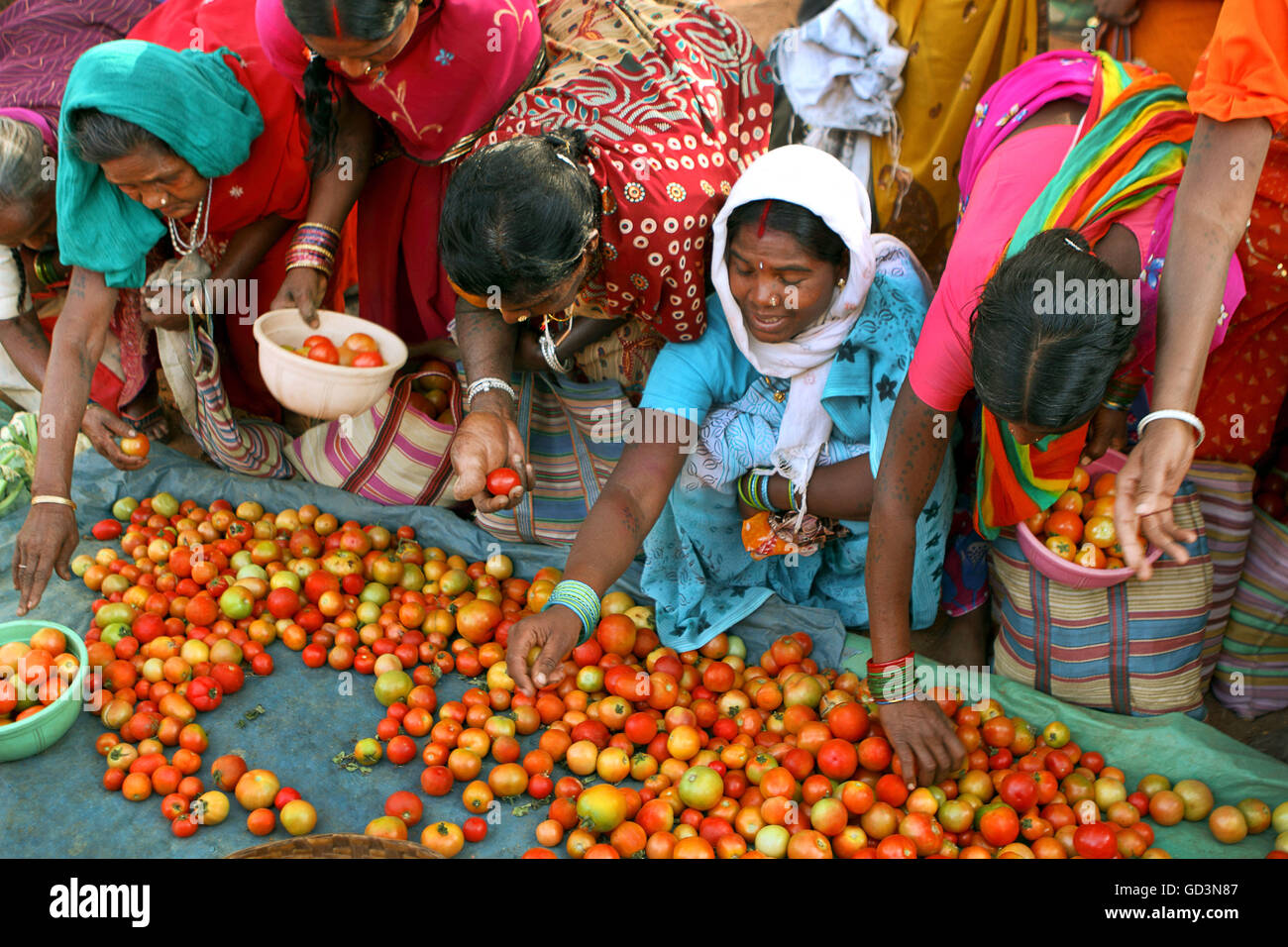 Women buying tomatoes, haat bazaar, bastar, chhattisgarh, india, asia Stock Photo