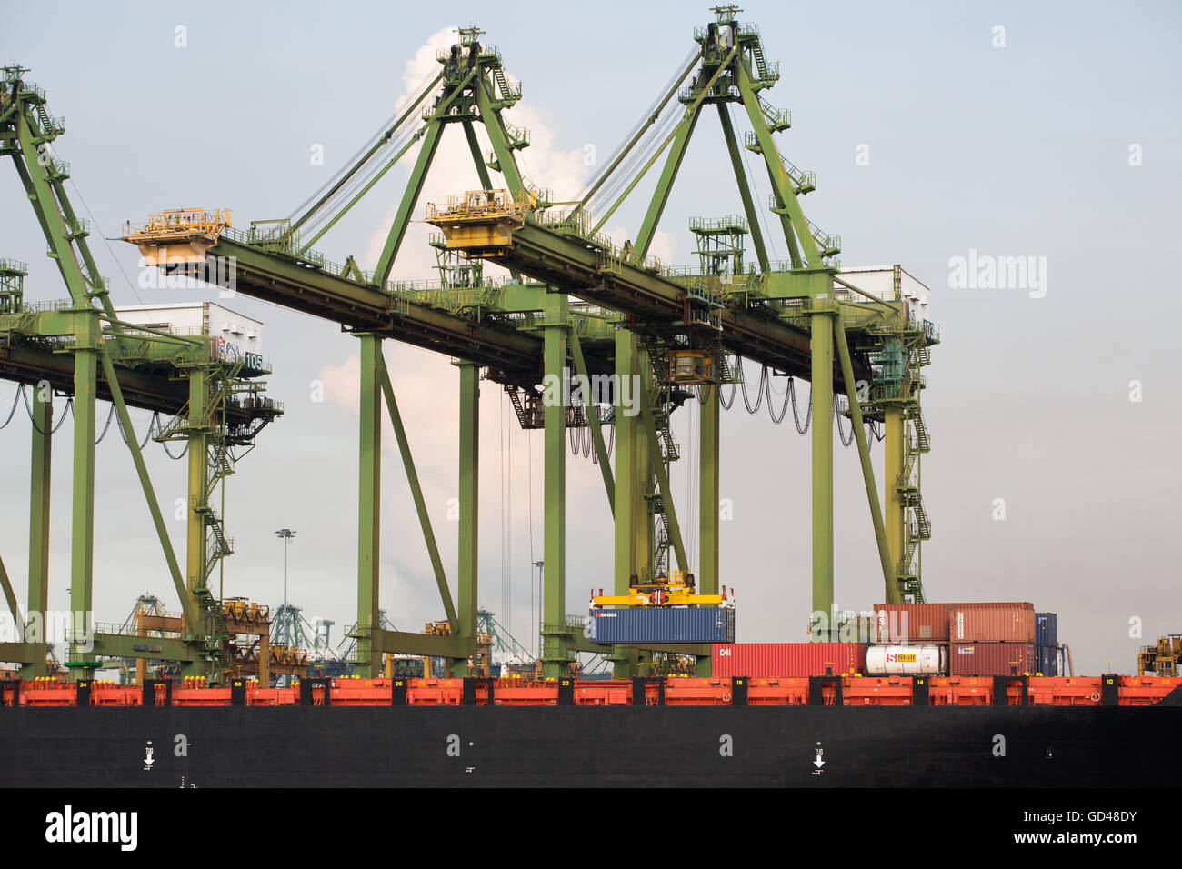Container handling gantry crane lifting up a blue container from a