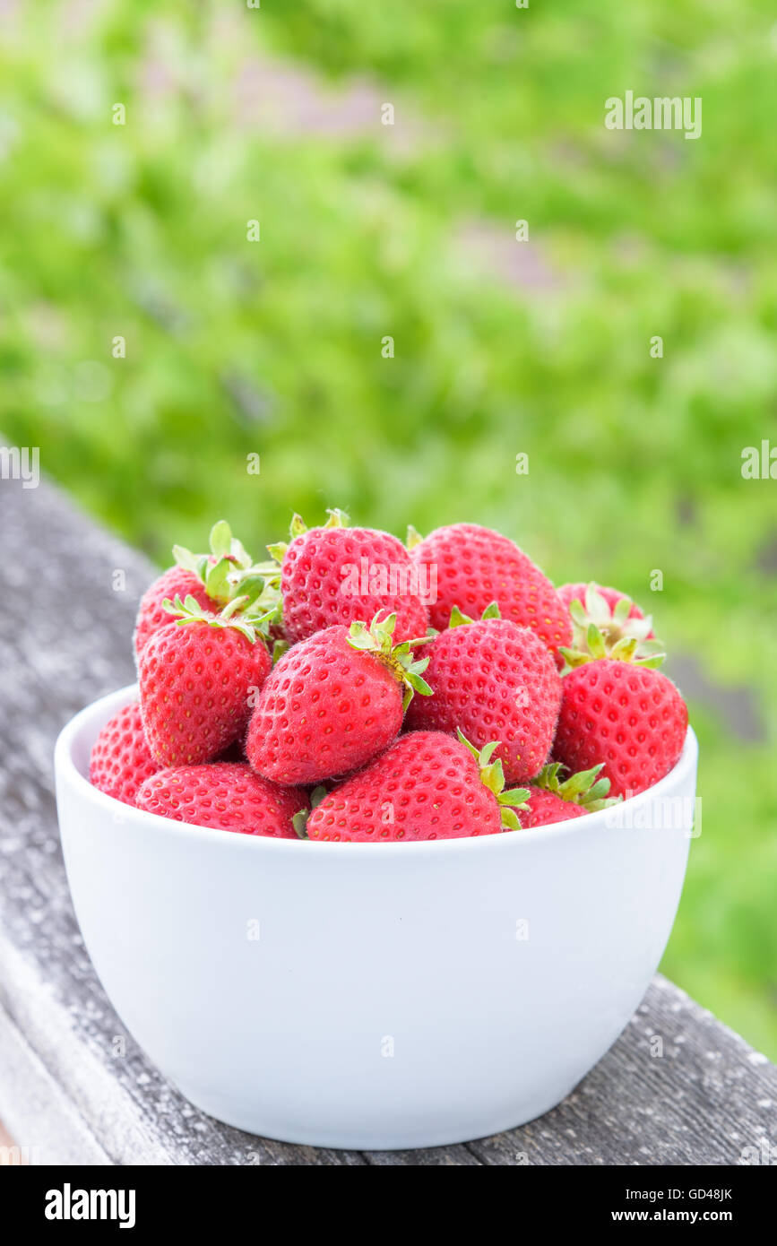 Strawberries stems in white hi-res stock photography and images - Alamy