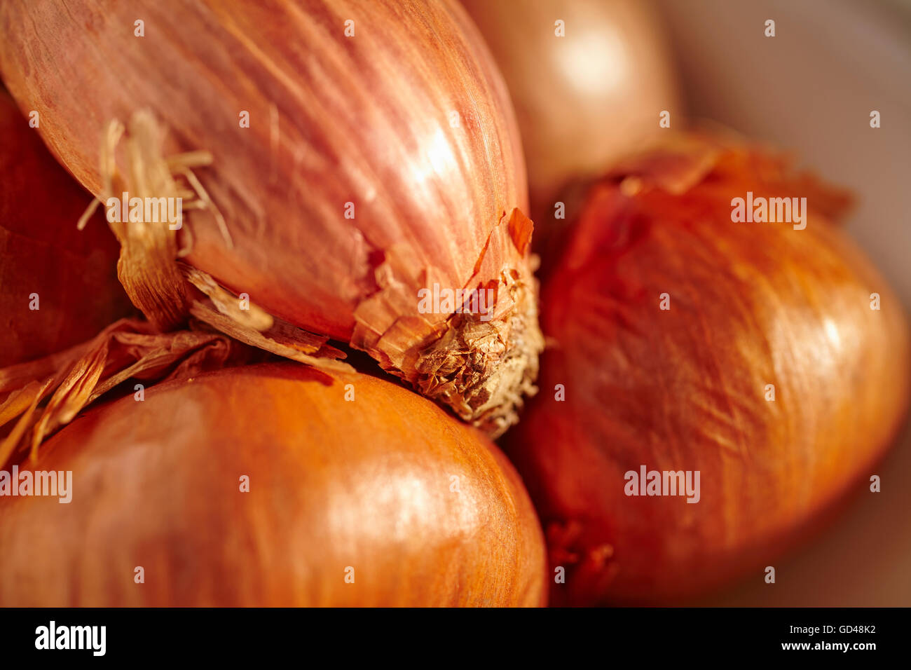 shallots, a classic ingredient in many cuisines Stock Photo