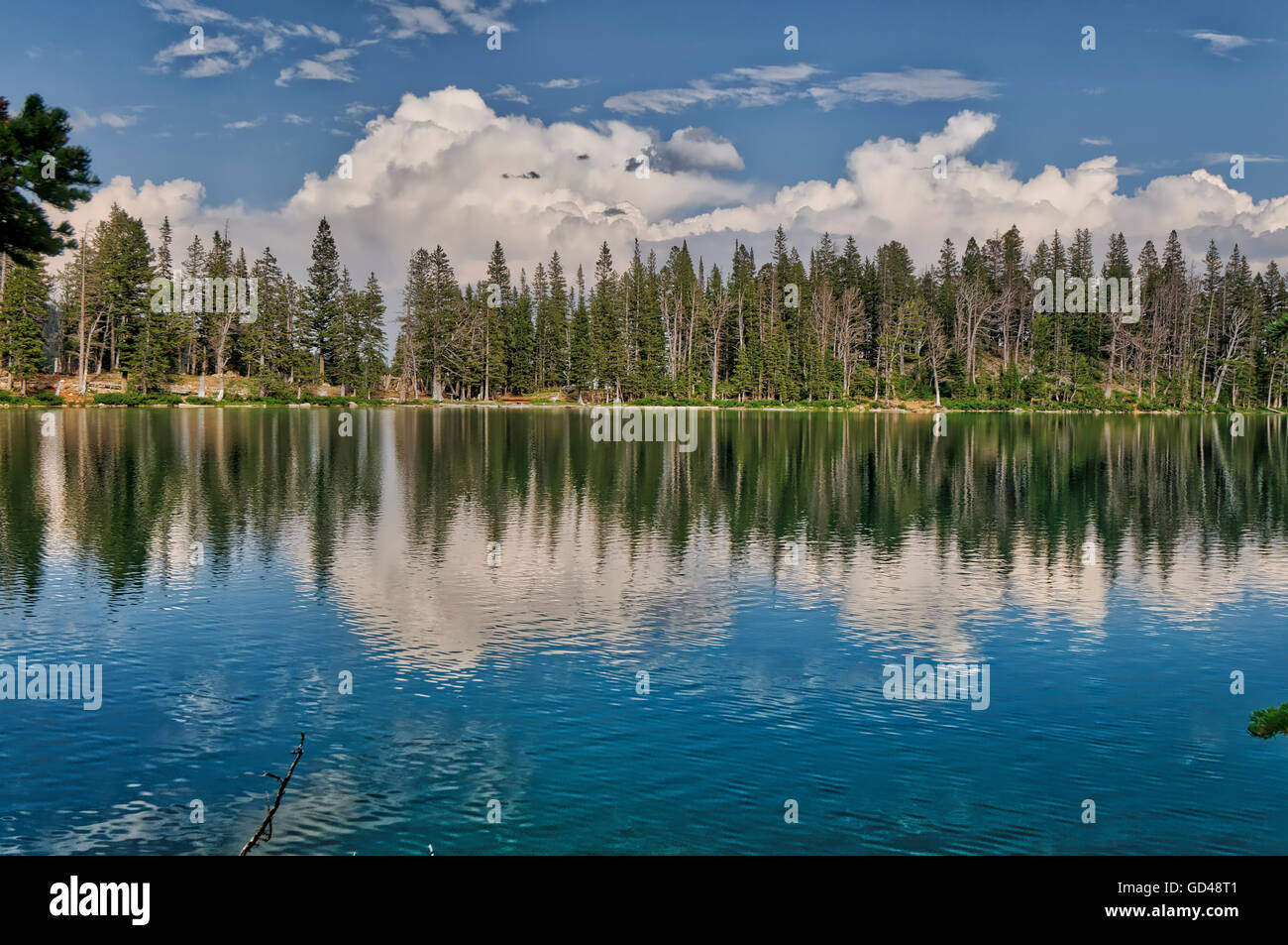 Afternoon Clouds growing over the treeline of Fairy Lake, Montana Stock ...