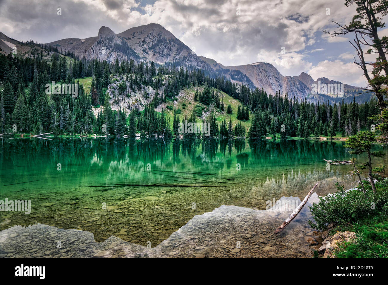 Green Hue to the Reflection on Fairy Lake, Montana Stock Photo