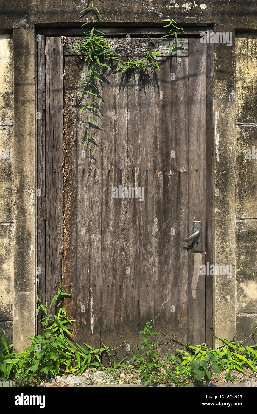 Old wooden door with brick wall texture background and grass. Stock Photo