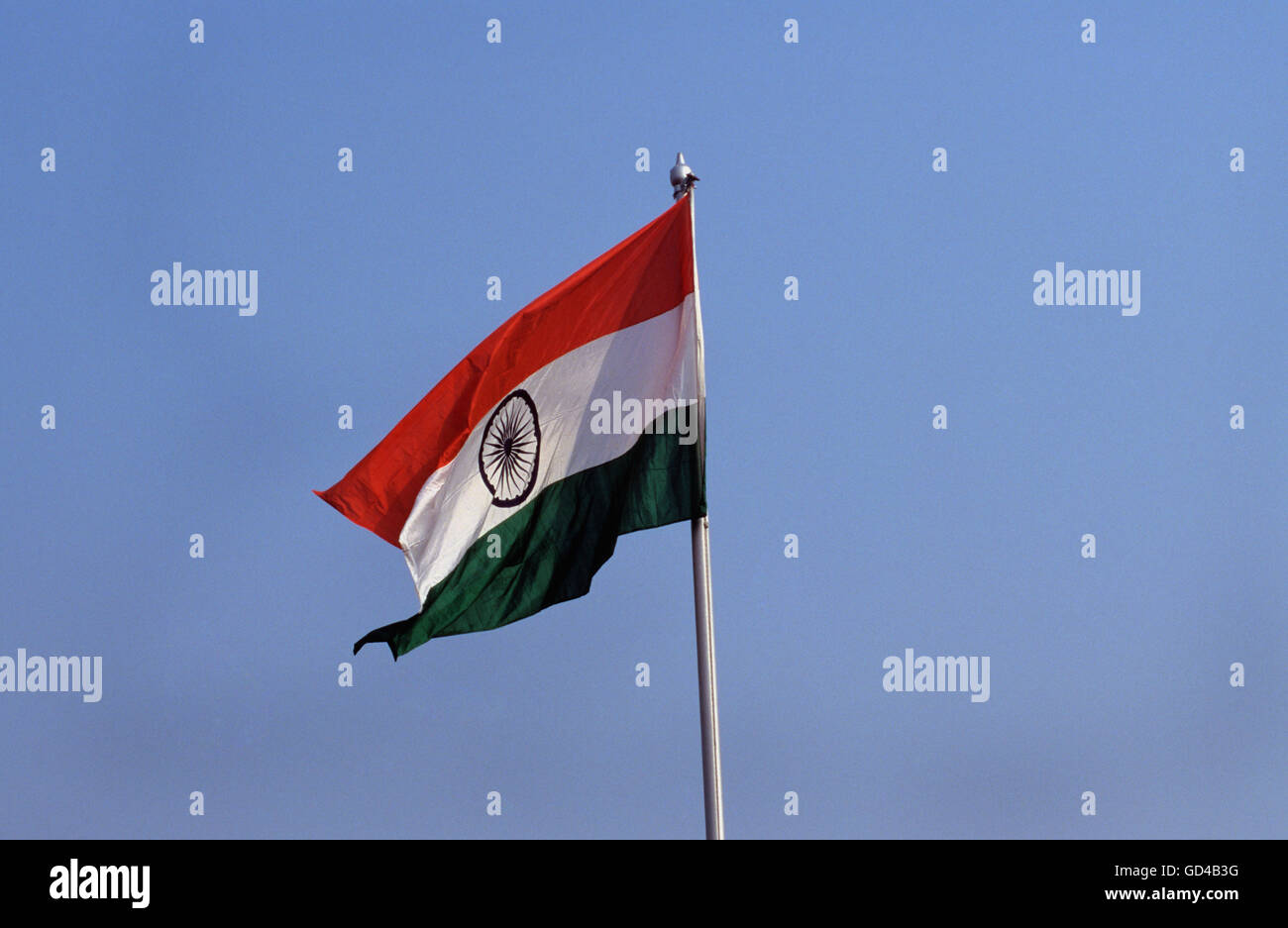 Indian National Flag Stock Photo