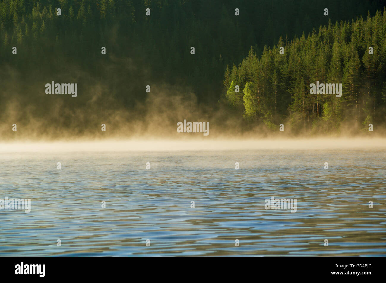 Sunrise over foggy mountain hi-res stock photography and images - Alamy