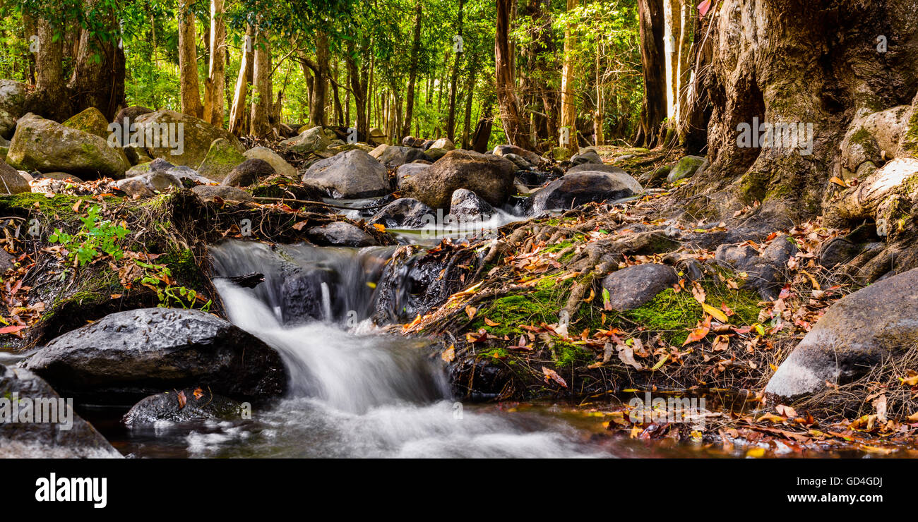 Cedar Creek flowing peacefully Stock Photo Alamy