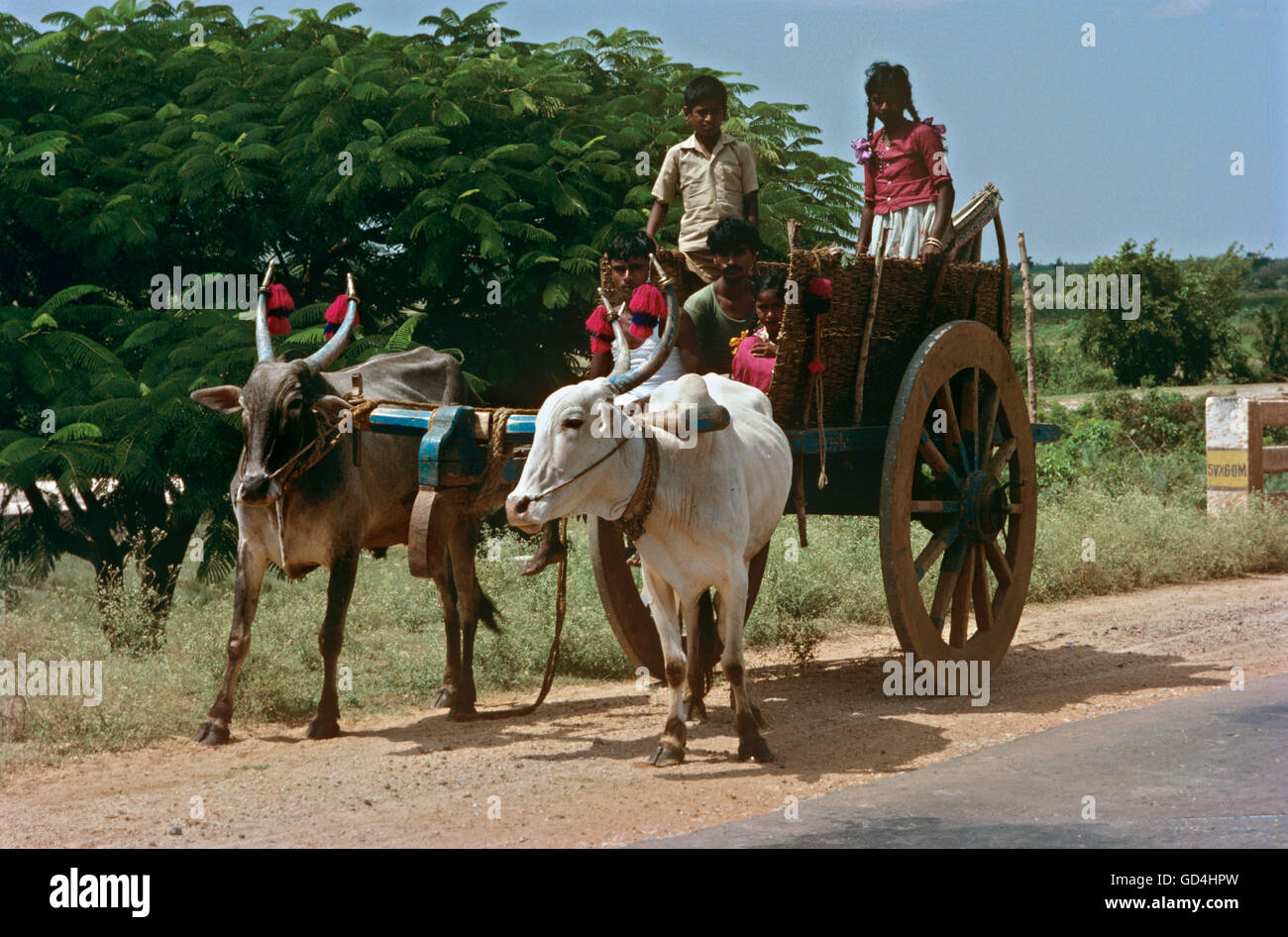 Bullock cart wheels hires stock photography and images Alamy