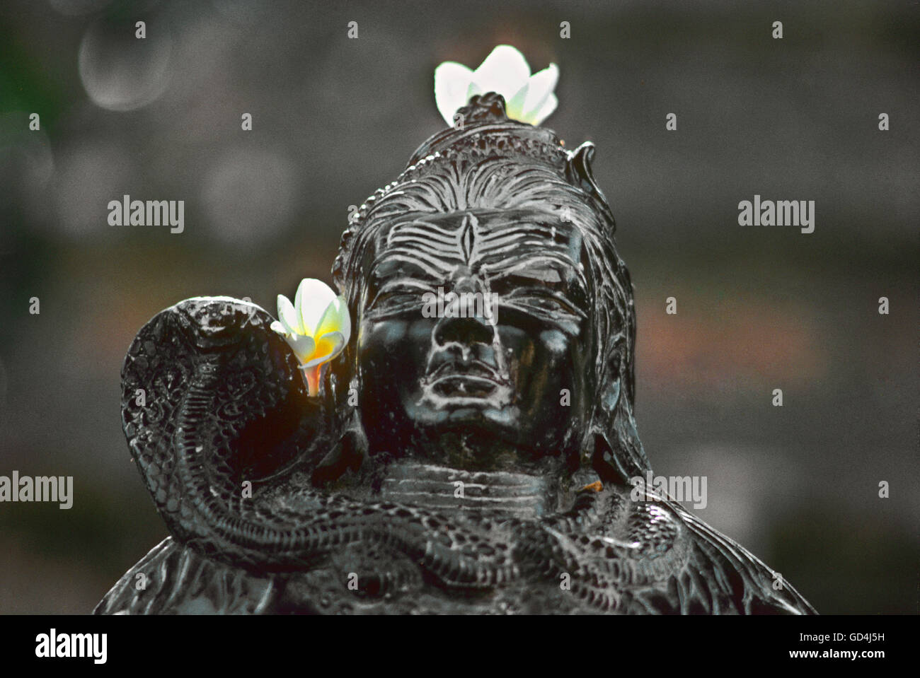 Sculpture of Shiva Stock Photo Alamy