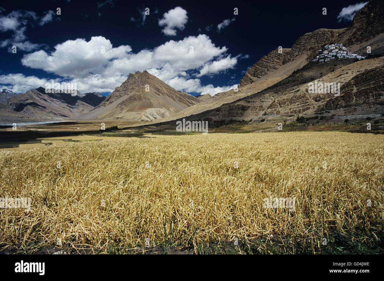 Landscape in Ladakh Stock Photo