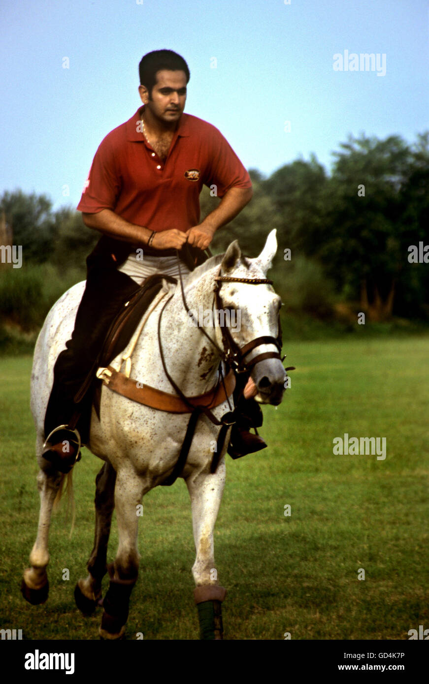 Horse rider Stock Photo