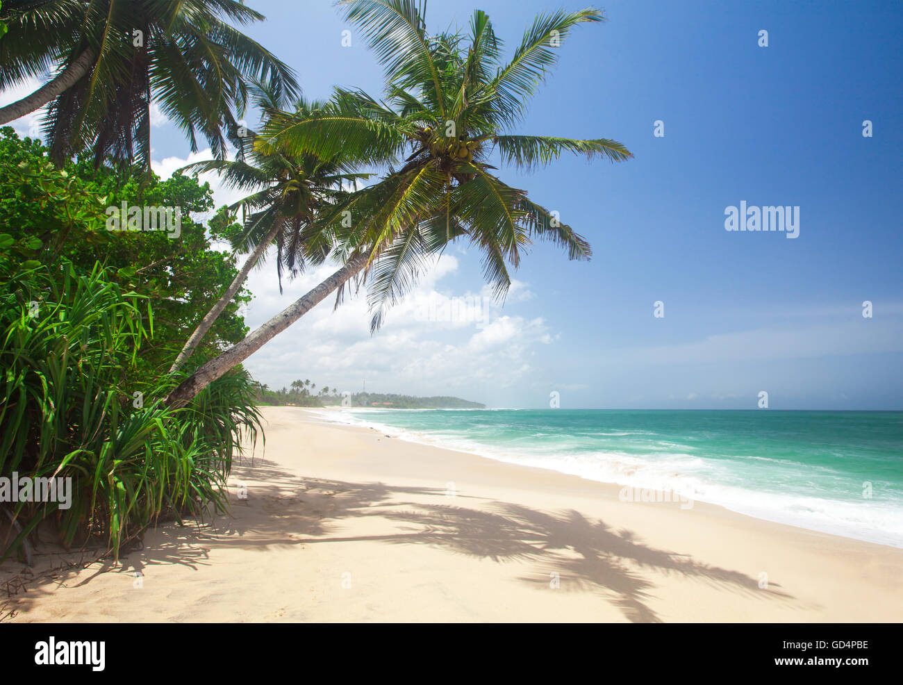 Tropical beach palm tree house hi-res stock photography and images - Alamy