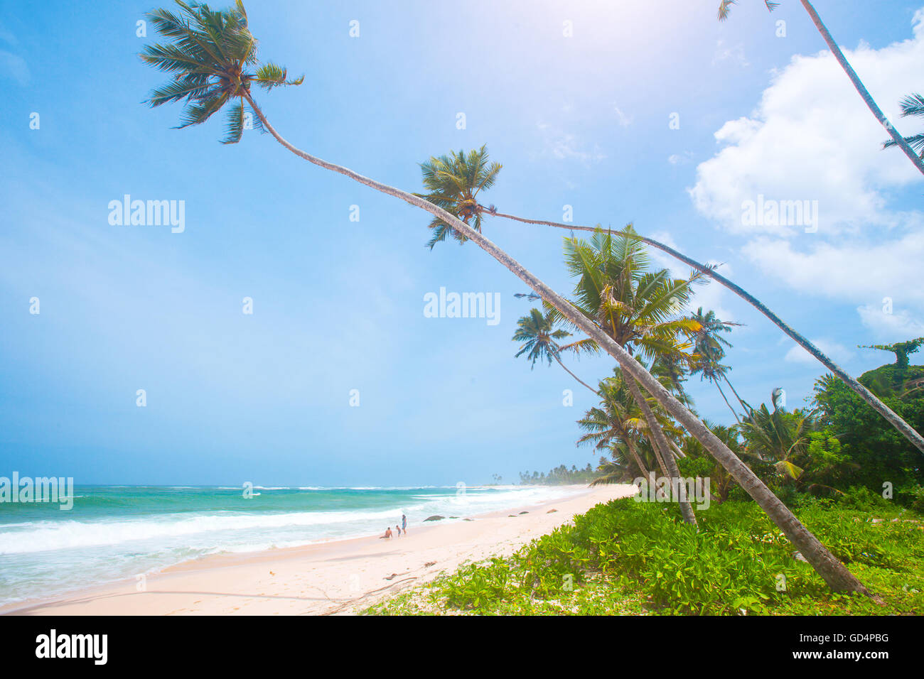 Tropical beach palm tree house hi-res stock photography and images - Alamy