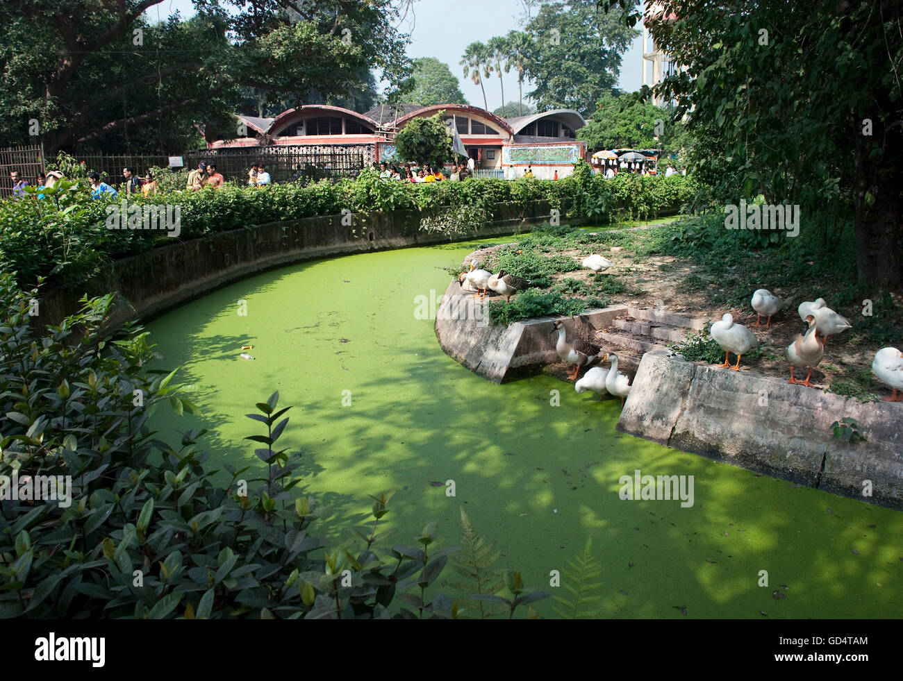 Alipore Zoo Stock Photo