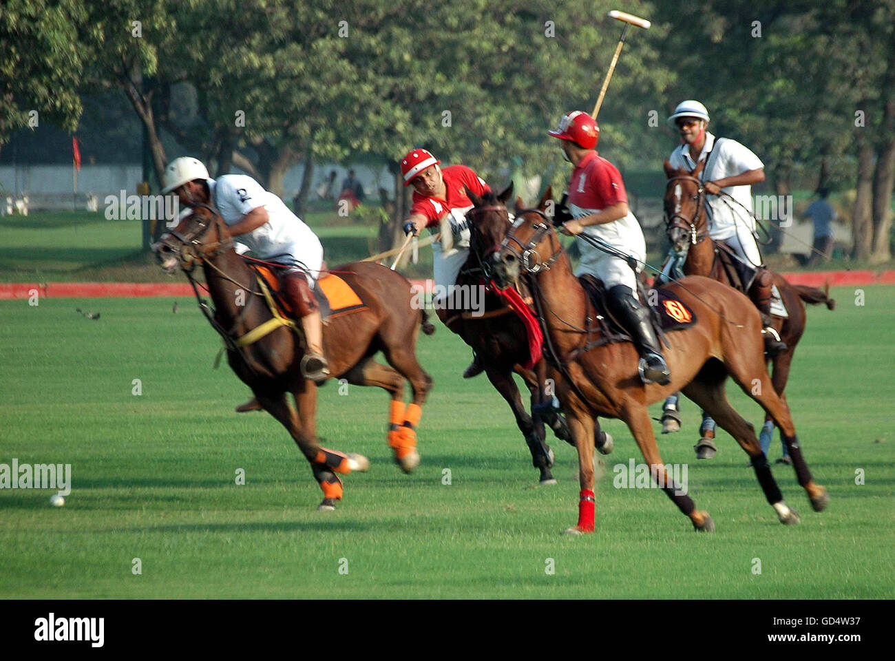 Polo players in action Stock Photo Alamy