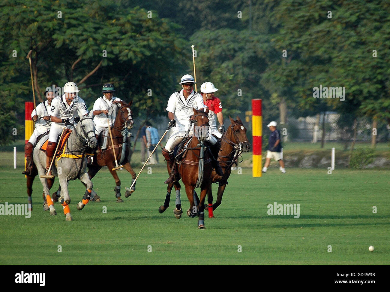 Polo players in action Stock Photo Alamy