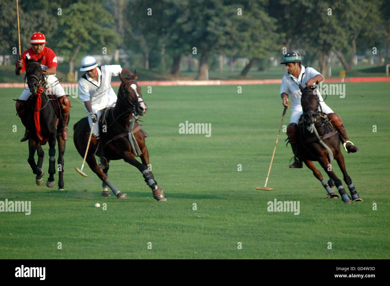 Polo players in action Stock Photo Alamy