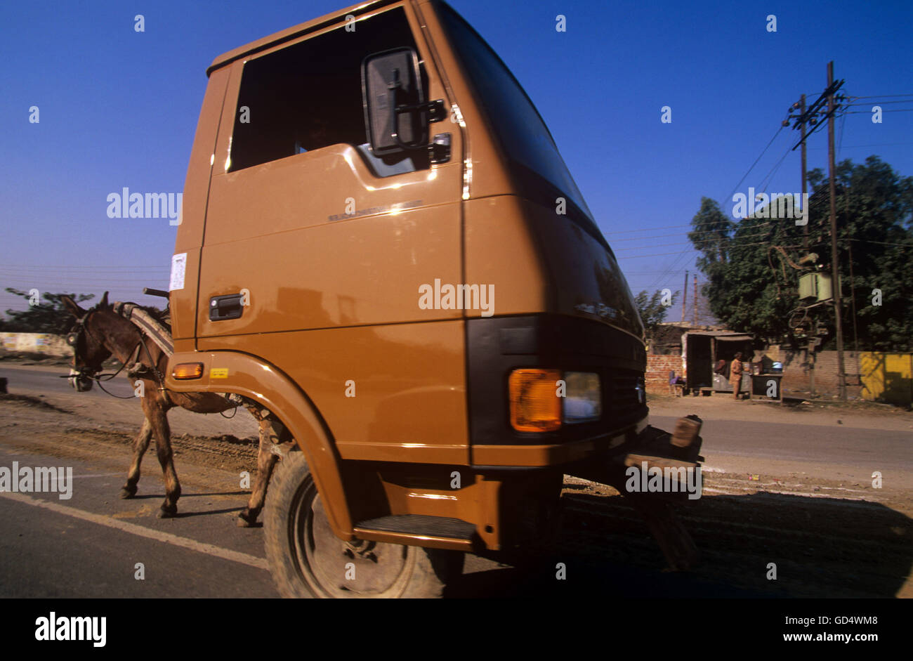 Truck Head Being Pulled By A Donkey Stock Photo Alamy