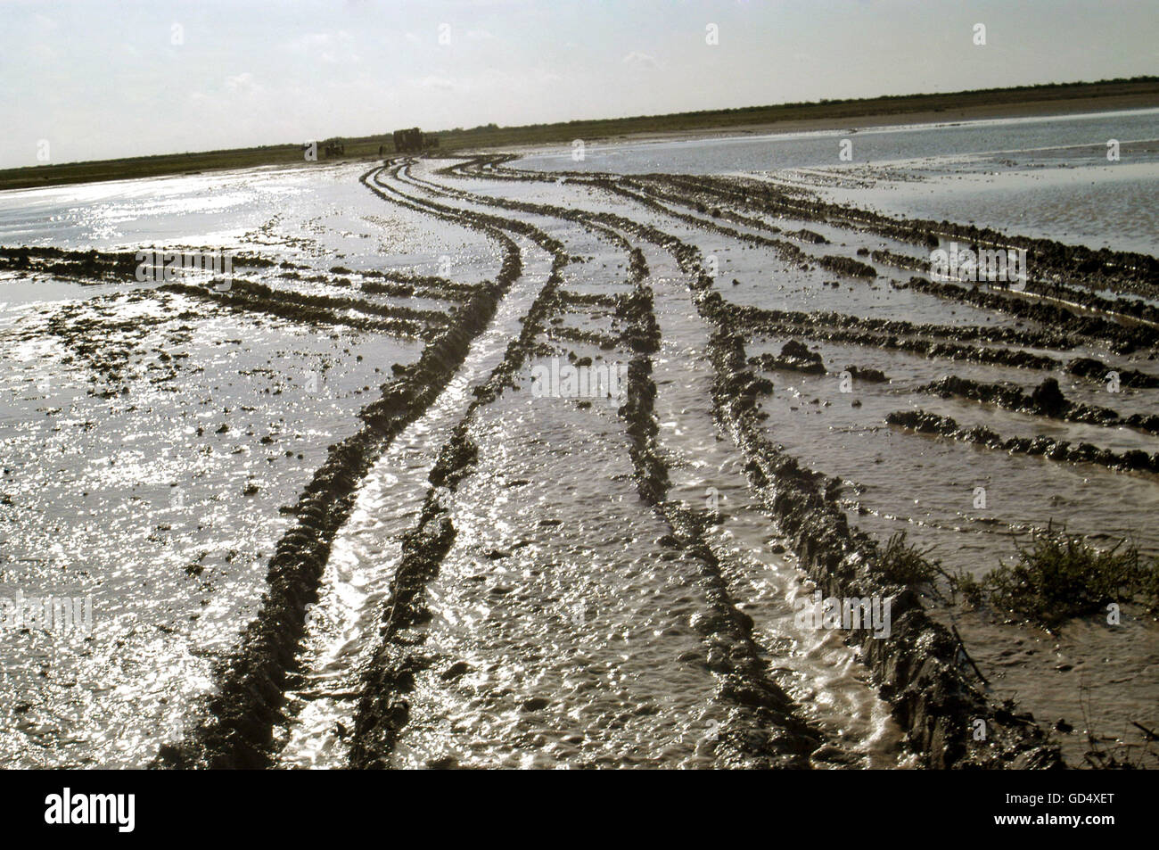 Rann of Kutch Stock Photo Alamy